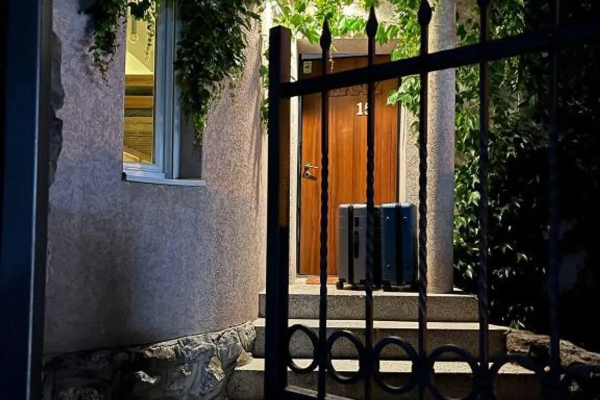 Brodsky's Cat Art Hostel