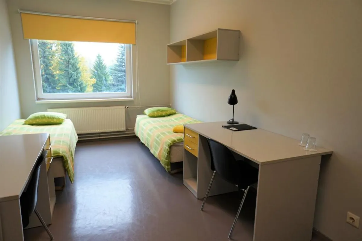 Downtown Hostel photo 2