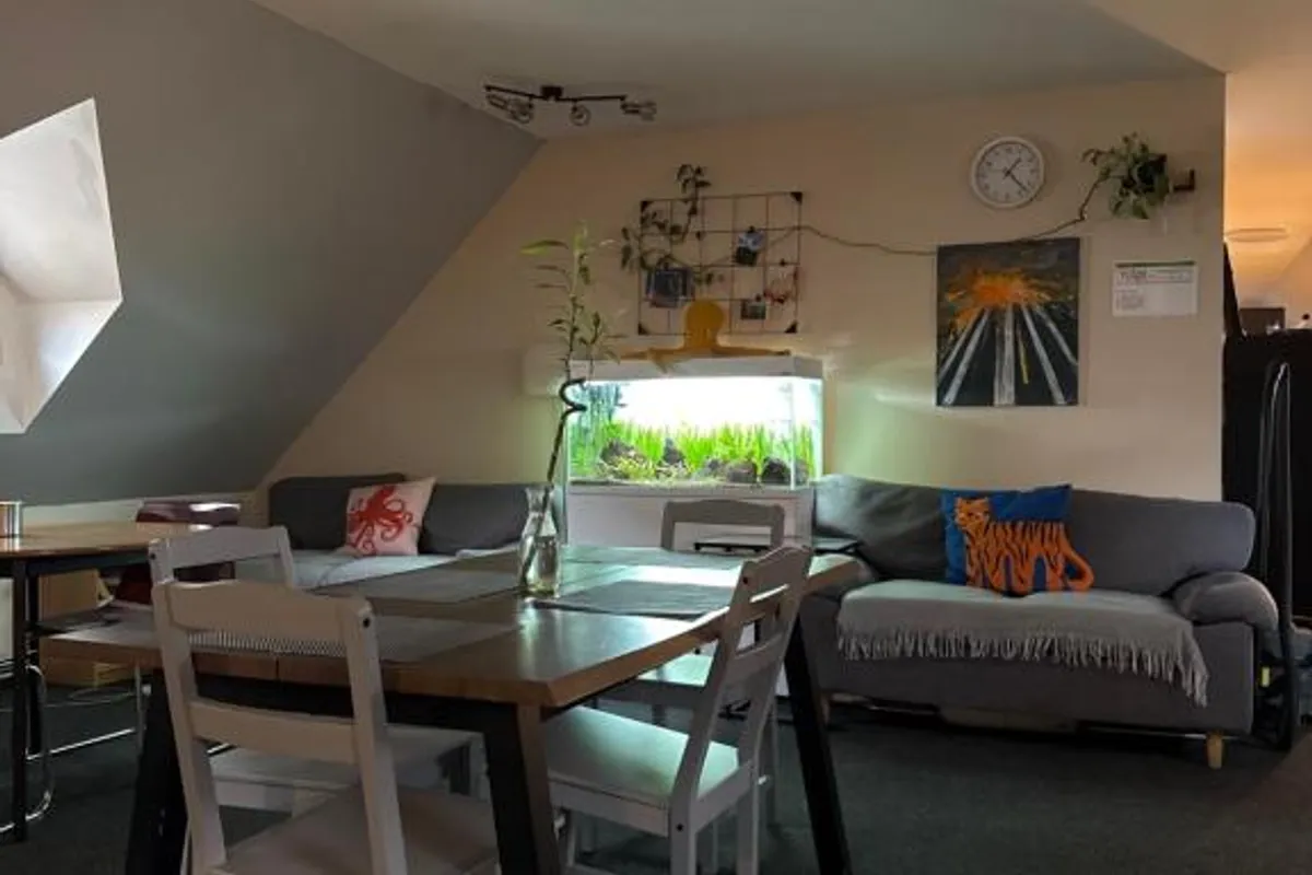 Hostel John Galt